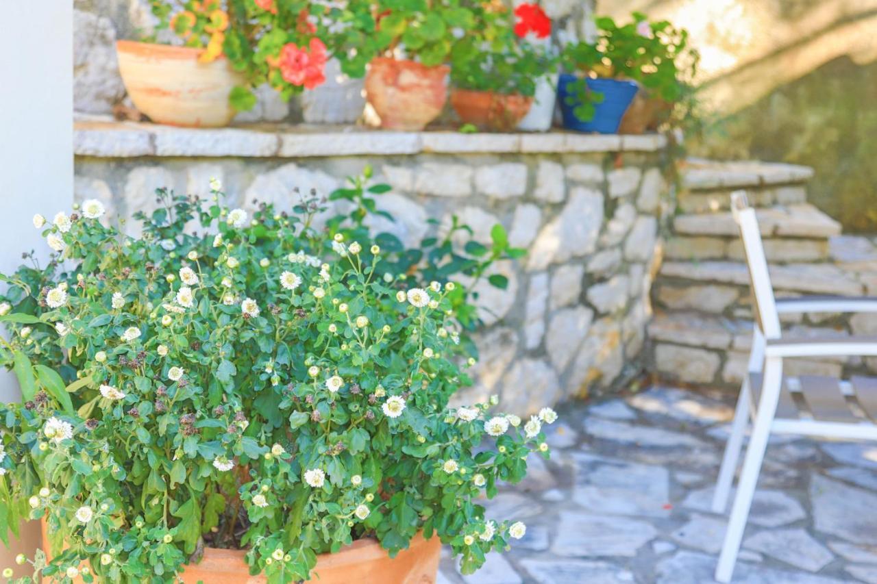 Villa Natasha Katavolos ภายนอก รูปภาพ